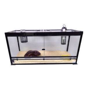 02.PYTHLG Budget Large Python Package