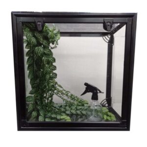 02.STICK Stick Insect Package