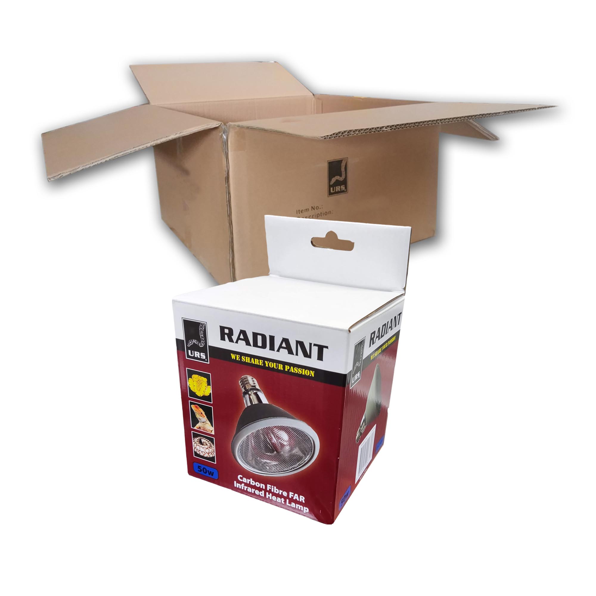04.18a Radiant Globe 50w (BOX of 50)