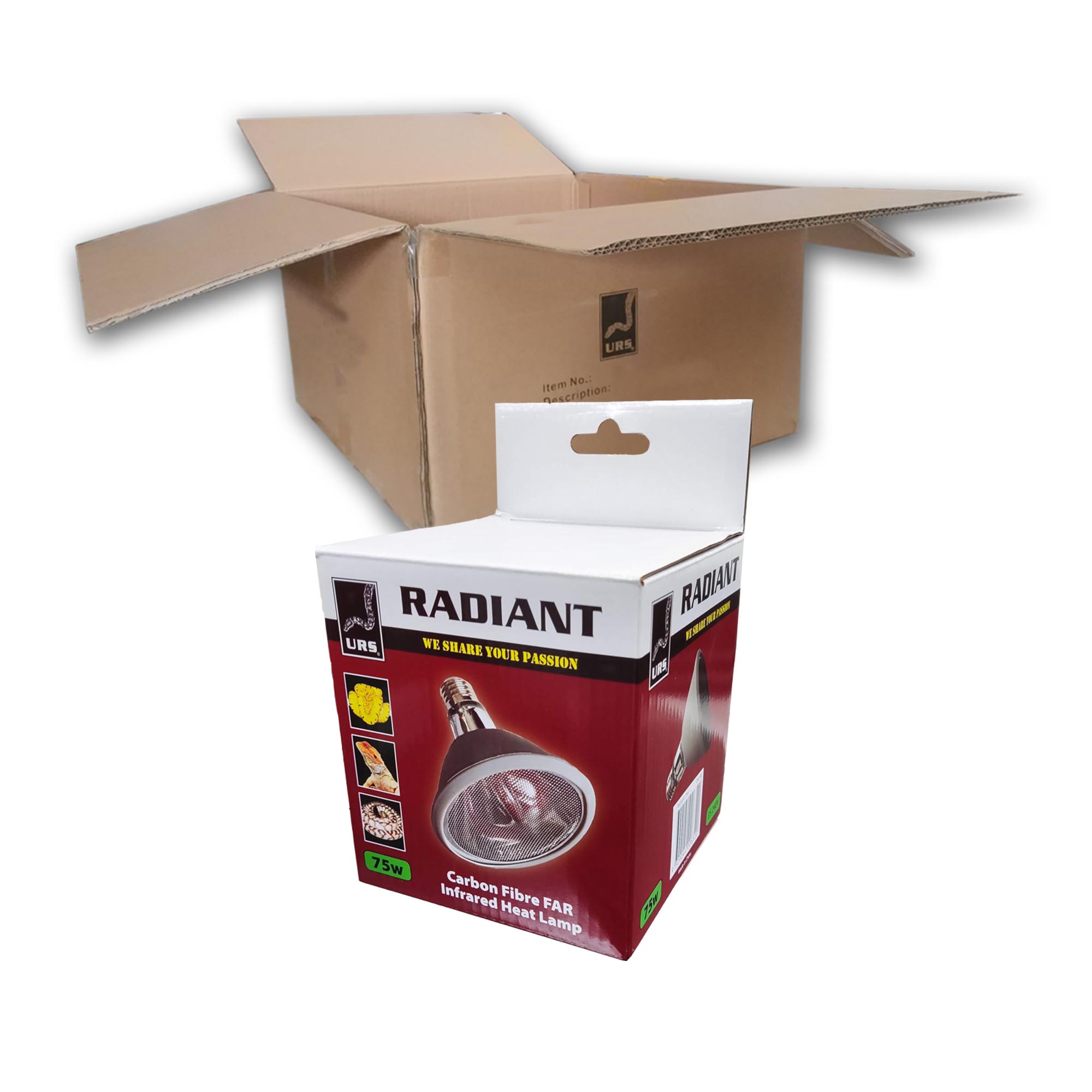 04.18b Radiant Globe 75w (BOX of 50)