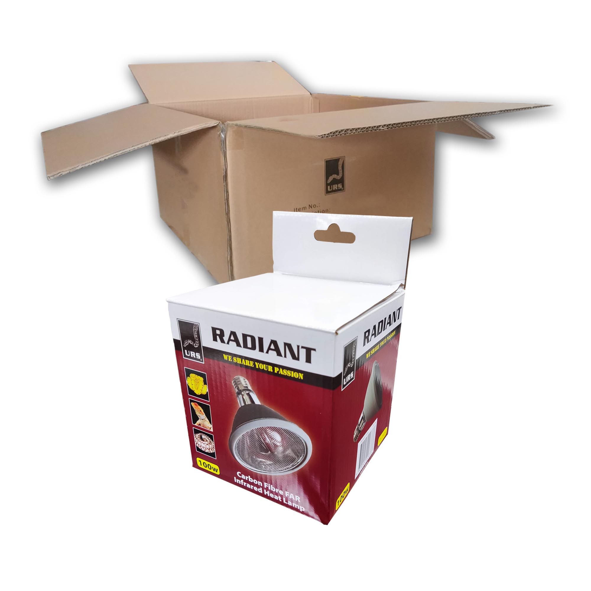 04.18c Radiant Globe 100w (BOX of 50)