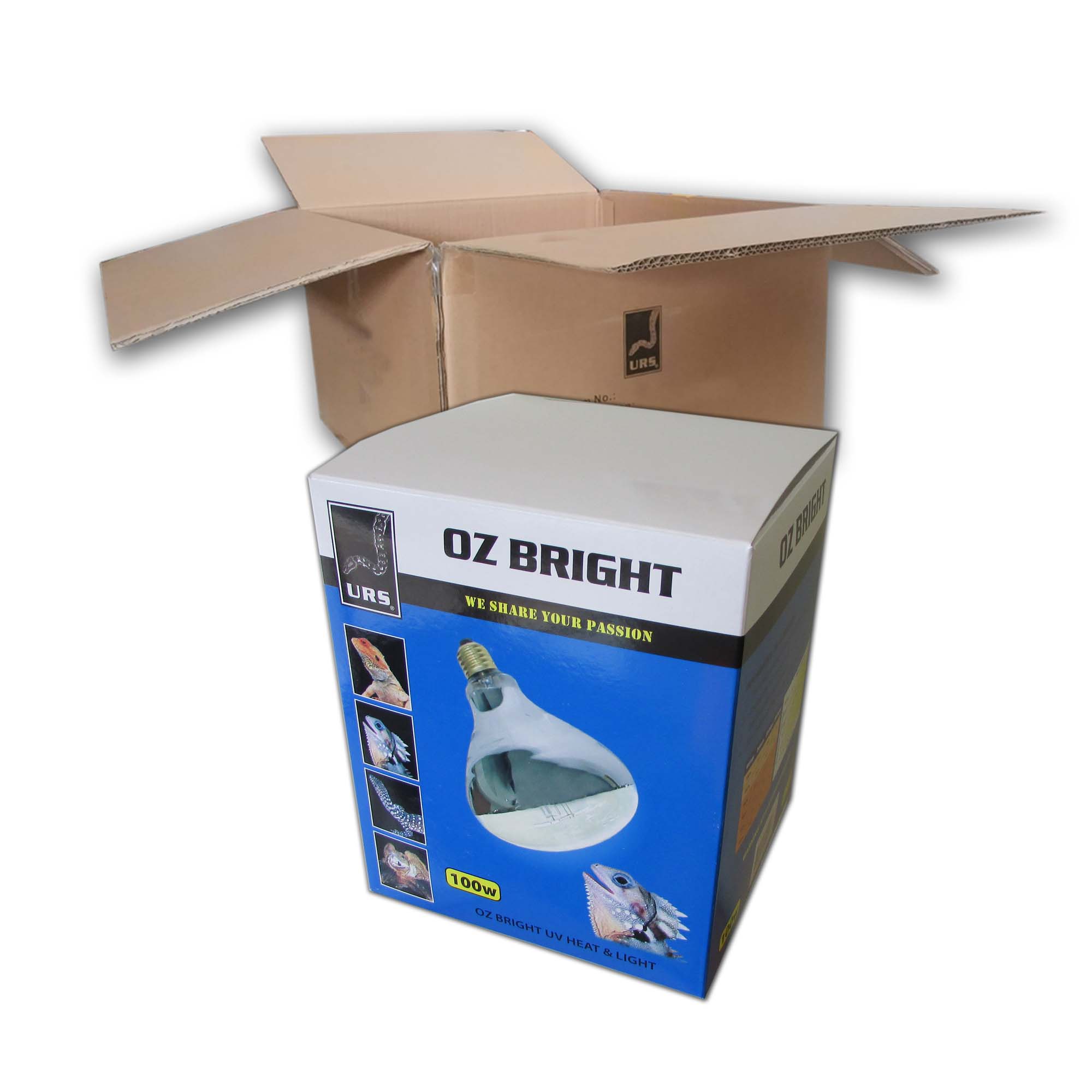 04.20a Oz Bright Mercury Vapour (Box of 12) 100w