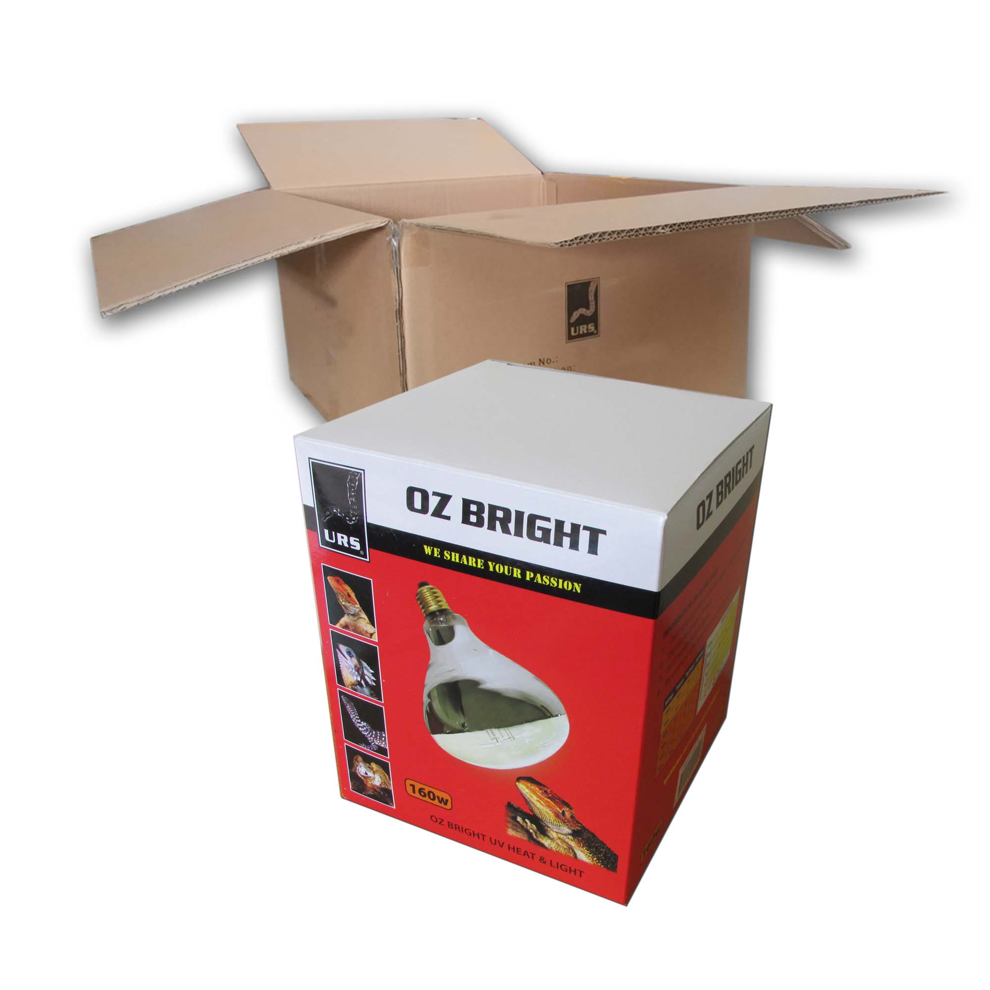 04.20b Oz Bright Mercury Vapour (Box of 12) 160w