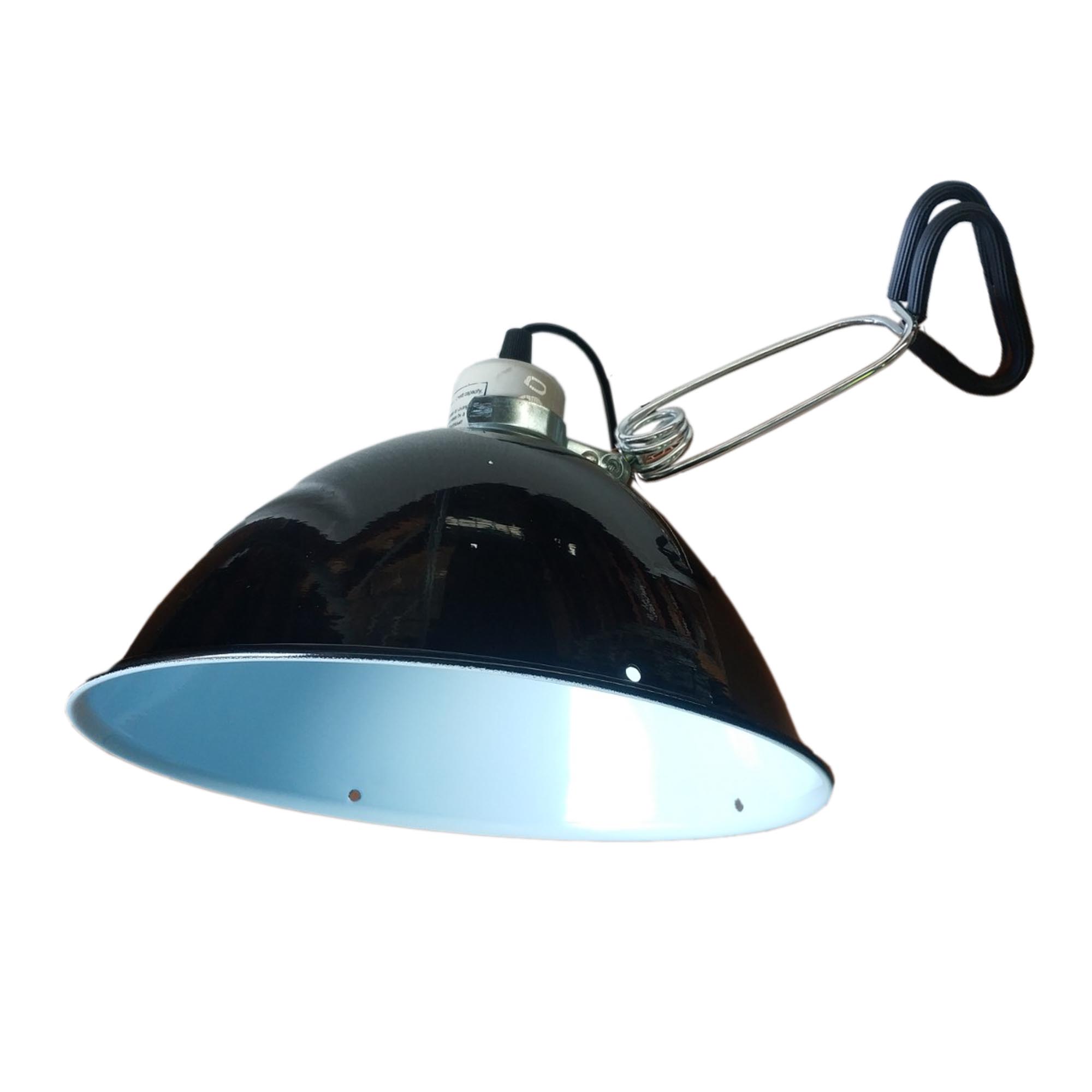 Lamps / Fittings