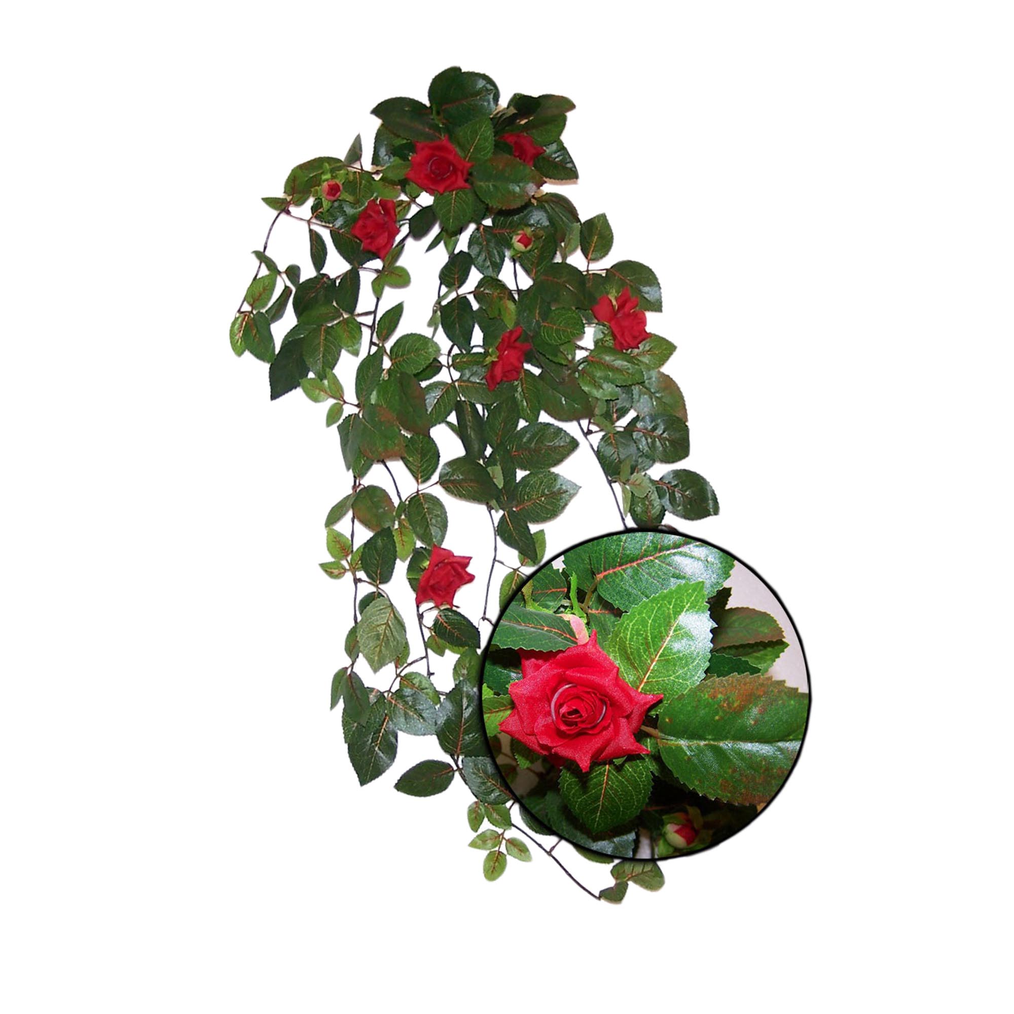 14.06 Red Rose Leaf Silk Plant