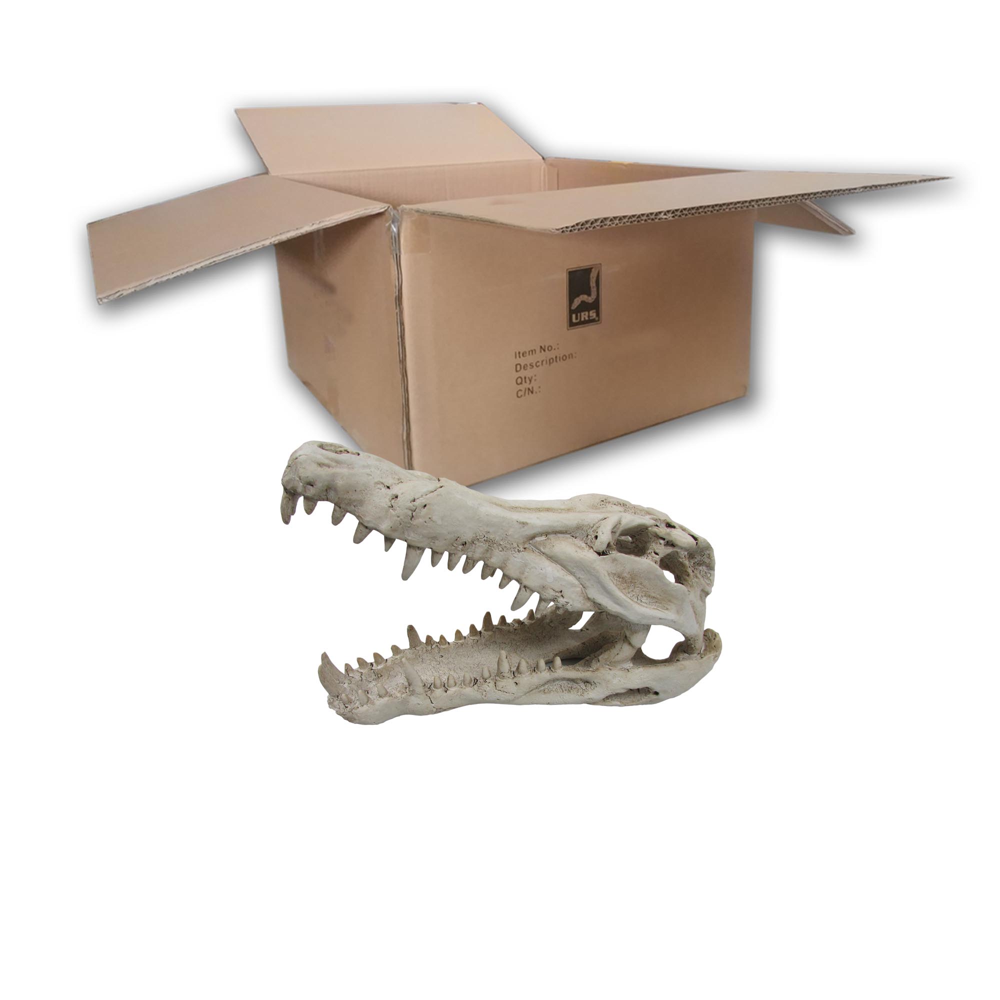 O.SCSKM Croc Skull Med (BOX of 18)