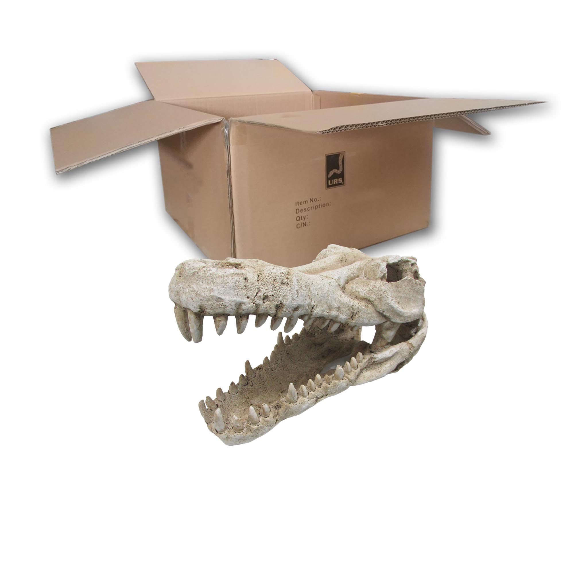 O.SCSKXL Croc Skull X Lge (BOX of 4)