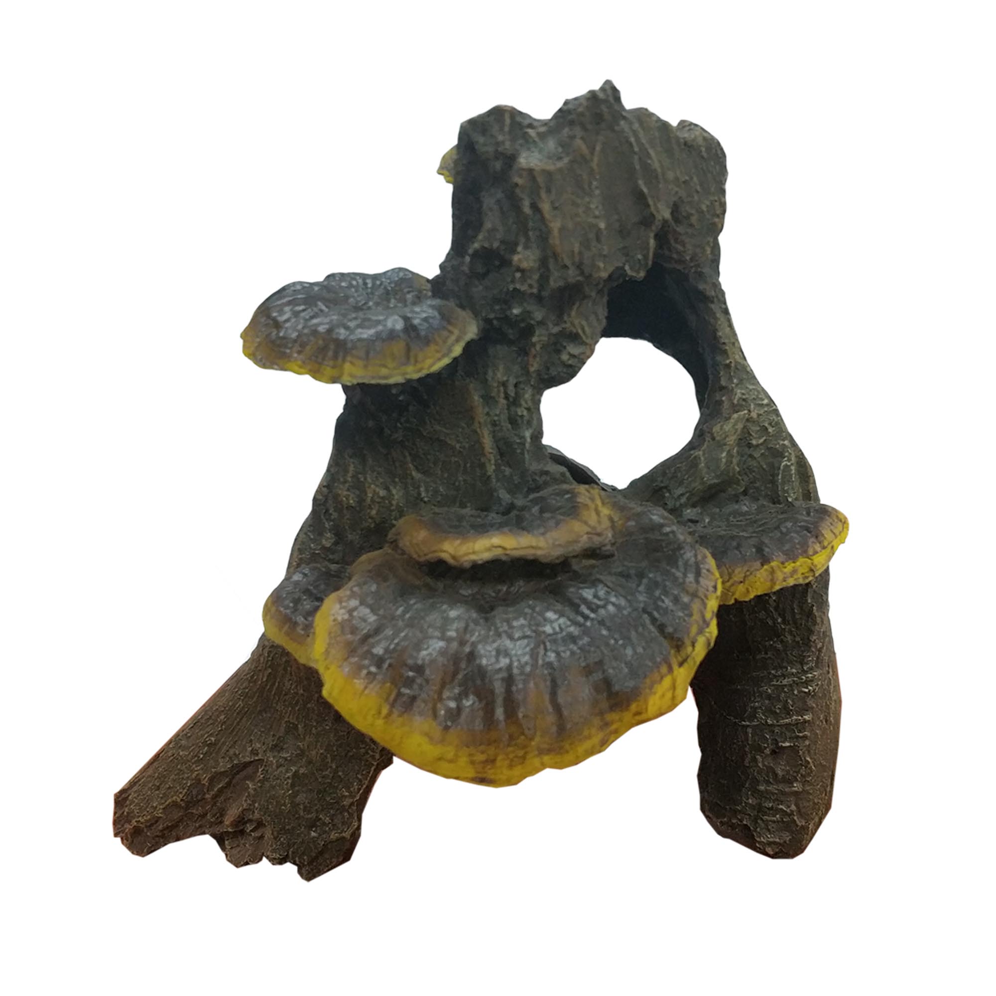 O.SFDW Fungi on Driftwood - 40% OFF SPECIAL