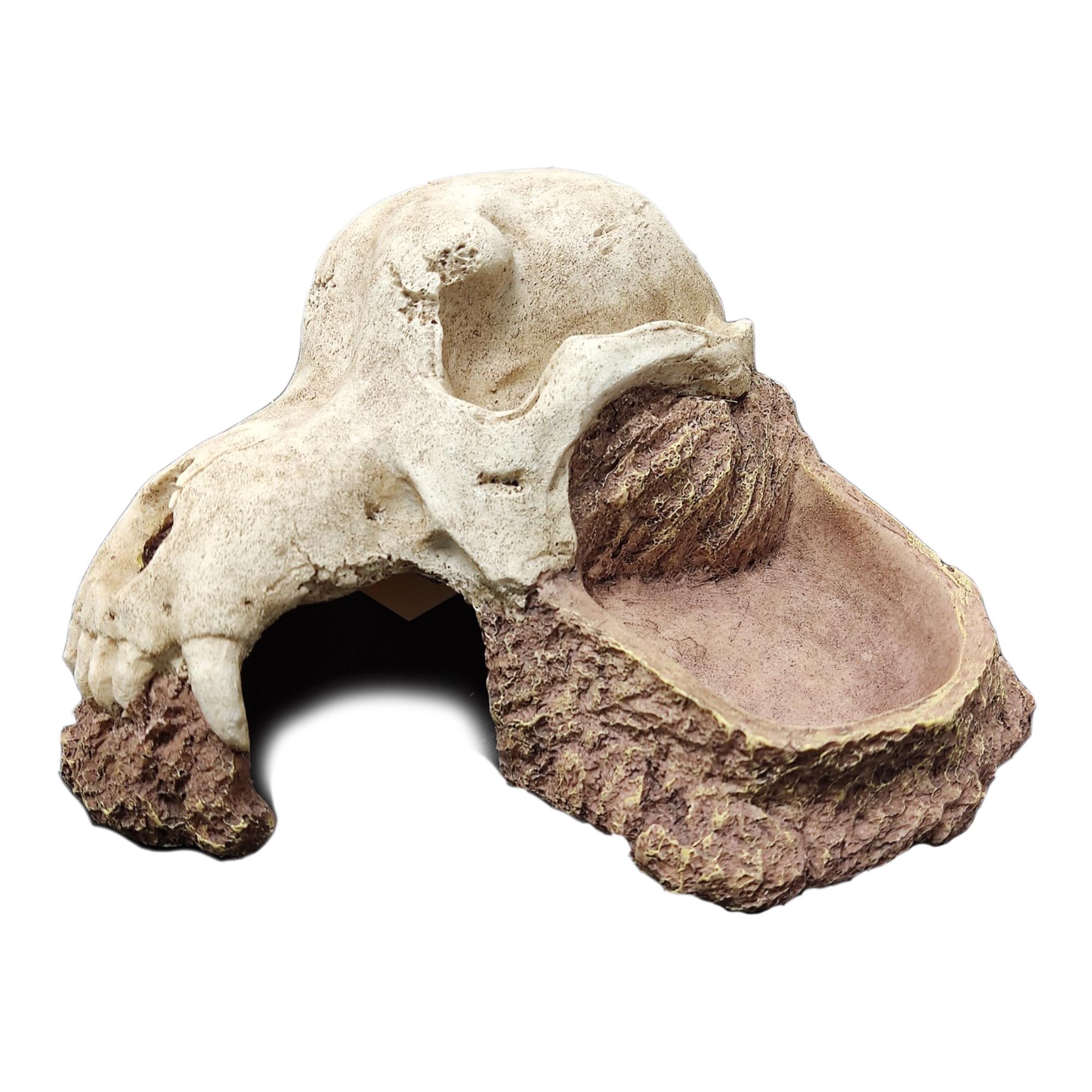 O.SWH Wolf Skull Hide 18.5x18.5x10cm