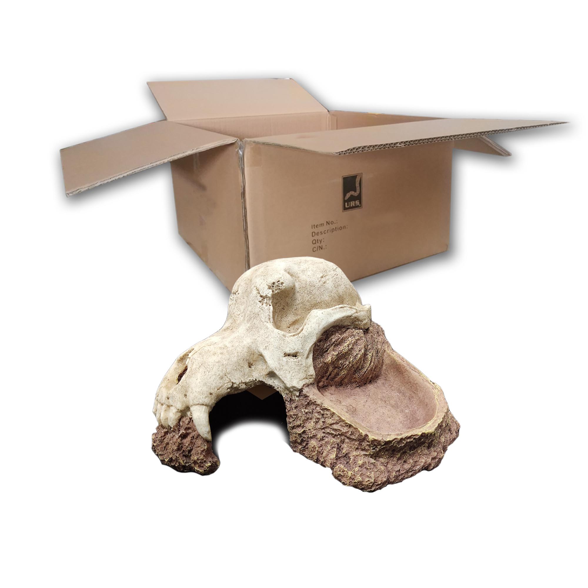 O.SWH Wolf Skull Hide (BOX of 36)