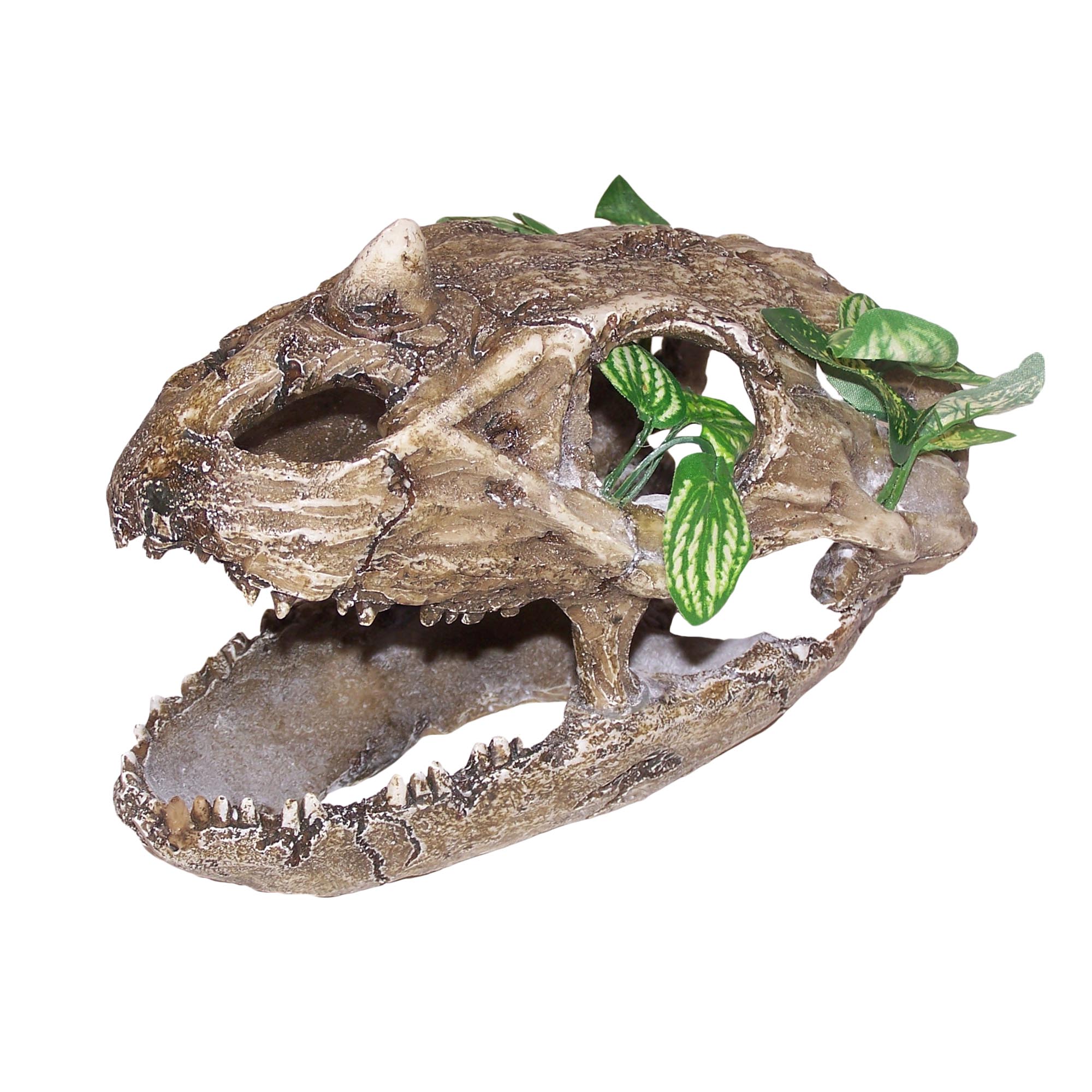 UN4012 Skull with Small Teeth - Large