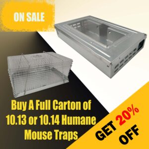Humane Mouse Traps - Buy a full carton of either to get 20% Off