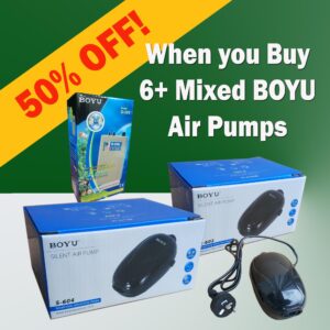 BOYU Air Pumps Buy 6+ and get 50% OFF