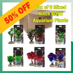Mixed Box of 6 - Boyu Plastic Plants - 4 inch SPECIAL