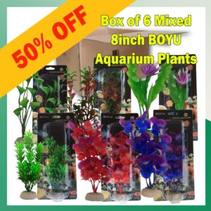 Mixed Box of 6 - Boyu Plastic Plants - 8 inch SPECIAL