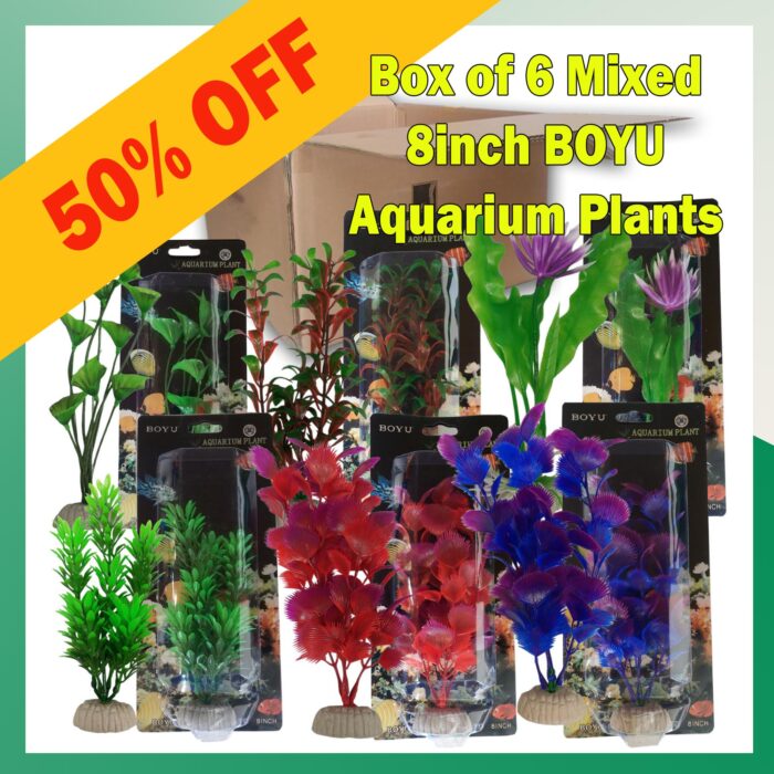 Mixed Box of 6 - Boyu Plastic Plants - 8 inch SPECIAL