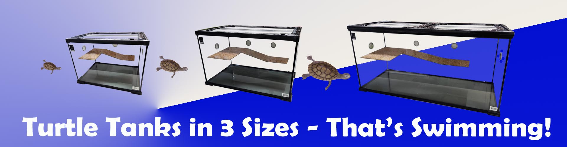 Turtle Tanks