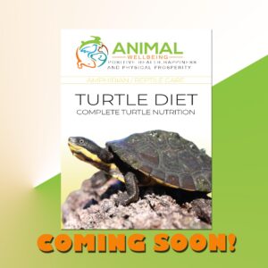 AW Turtle Diet - Complete Turtle Nutrition 85g