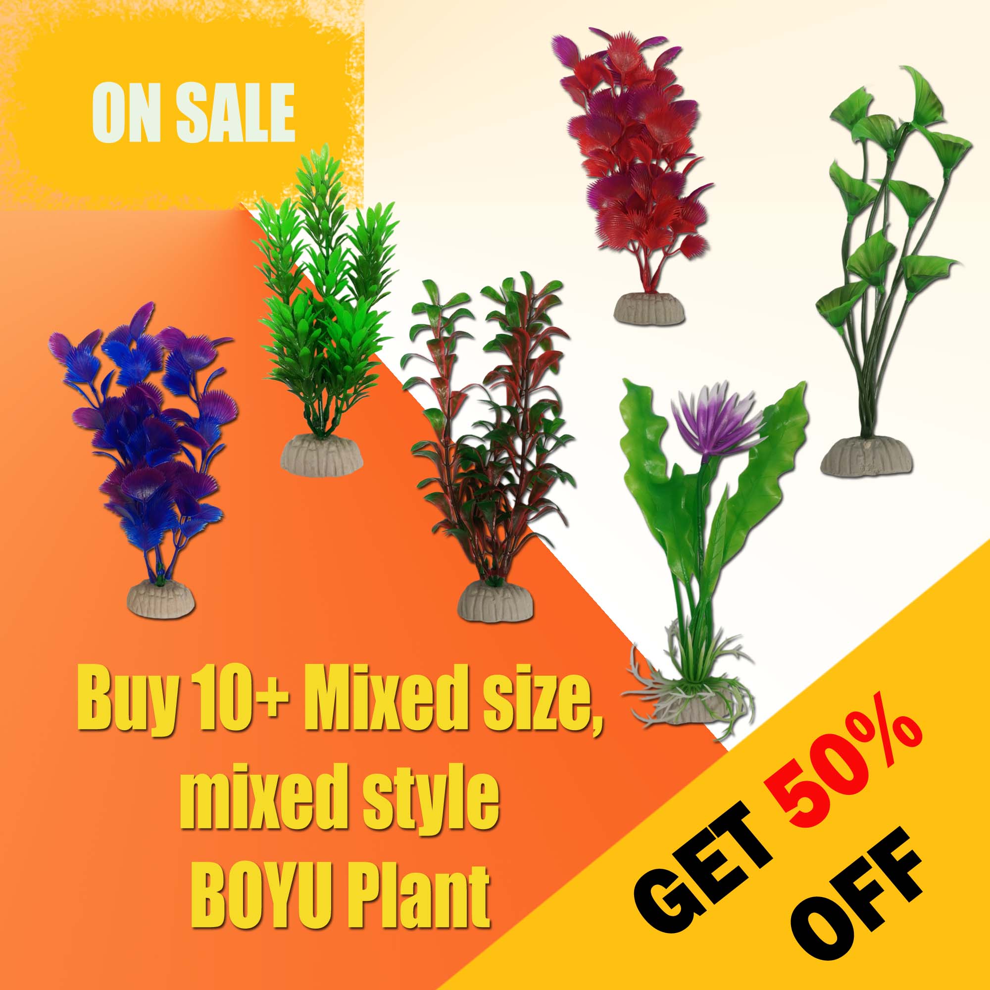 BOYU Mixed Plants - Buy 10+ any size for 50% Off