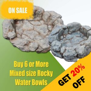 Rocky Water Bowls - Buy 6+ Mixed Size & Get 20% OFF