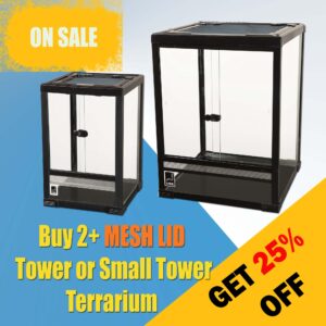 Tower or Small Tower MESH Lid Terrariums - Buy 2+ Get 25% Off
