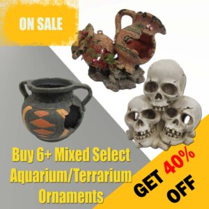 Select Aquarium/Terrarium Ornaments Buy 6+ Get 40%